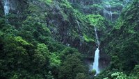 रत्नागिरीत आहे महाराष्ट्रातील सर्वात रहस्यमयी धबधबा! कडक उन्ह्याळ्यातही हा धबधबा...