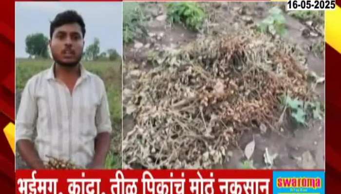 Yavatmal Farmer On Crops Damage By Unseasonal Rainfall