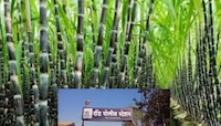 पुण्यात माणुसकीला काळीमा फासणारी घटना, 'साडेपाच वर्षाच्या 