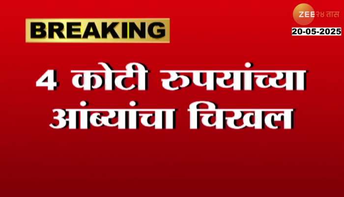 Indias Mango To America Getting Waste For No Proper Documents