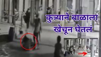 कुत्र्याने 4 महिन्याच्या बाळाला हातातून ओढलं अन् घेतला जीव; अंगावर काटा आणणारा VIDEO