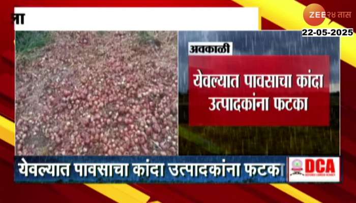 Rain hits onion growers in Yeola farmers onion gets soaked due to rain