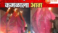 Viral Video: कमळाने केला घात, मंगलाष्टक सुरु असतानाच लागली आग; पुढे झालं ते फारच धक्