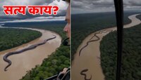 Fact Check : नदीमध्ये दिसला महाकाय एनाकोंडा; थरकाप उडवणारा व्हिडीओ पाहून सगळेच घाबरल