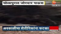 सोलापुरातील मोहोळ तालुक्यात जोरदार पाऊस 