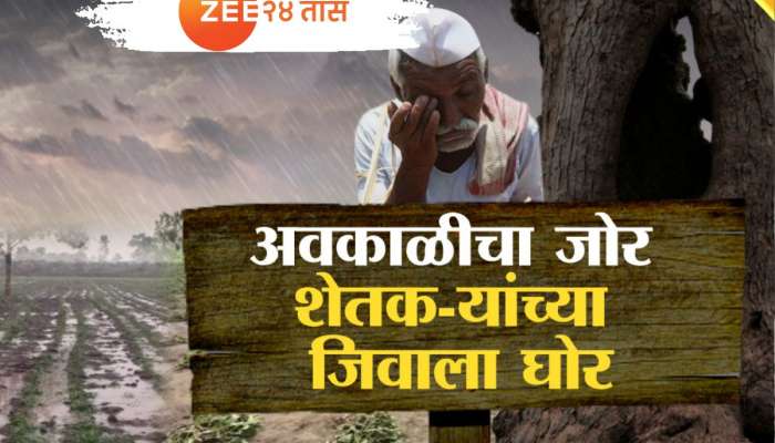 अवकाळीचा जोर शेतकऱ्यांच्या जिवाला घोर, अवकाळीनं शेतकरी देशोधडीला