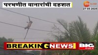 वानरांचा हैदोस! शेतावर जाणाऱ्या तरुणावर केला हल्ला 