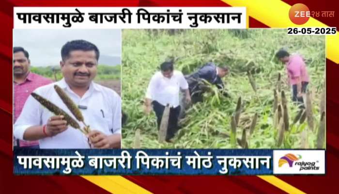 Maharashtra Rain Updates Heavy Rain Farmers Loss
