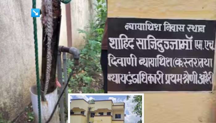 बोअरचं पाणी प्यायल्याने बिघडत होती तब्येत, न्यायाधीशांनी उघडून पाहिलं असता चक्रावले, आत चक्क मृत...