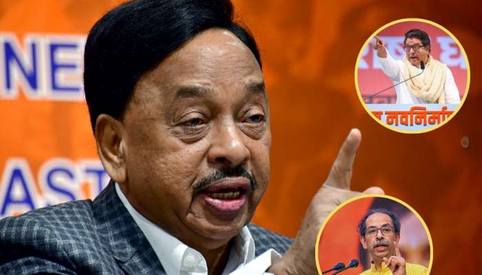 &#039;भाजपच्या पुरात दोघे वाहून जातील&#039;, राज-उद्धव ठाकरे संभाव्य युतीवर नारायण राणे स्पष्टच बोलले, &#039;काय आहे त्यांच्याकडे?&#039;
