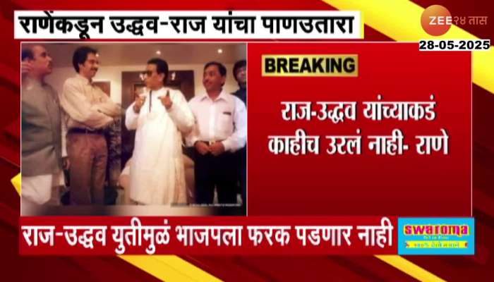 Narayan Rane On Raj And Uddhav Thackeray Alliance