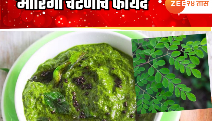 300 हून अधिक असलेली रक्तातील साखरही होईल नियंत्रणात; या हिरव्या चटणीचा आहारात करा समावेश