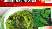 300 हून अधिक असलेली रक्तातील साखरही होईल नियंत्रणात; या हिरव्या चटणीचा आहारात करा सम