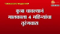 शेजाऱ्याला कुत्रा चावल्यानं मालकाला 4 महिन्यांचा तुरुंगावस; मुंबईतील कोर्टाचा निर्णय