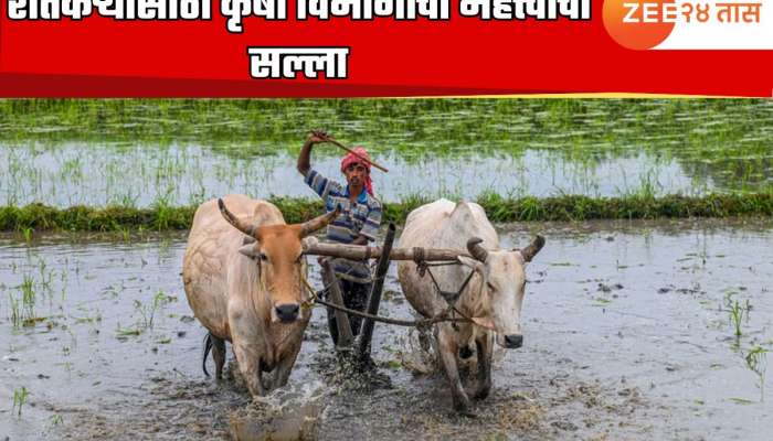 मान्सून आला, आता पेरण्या कधी कराव्यात? शेतकऱ्यांसाठी कृषी विभागाचा महत्त्वाचा सल्ला