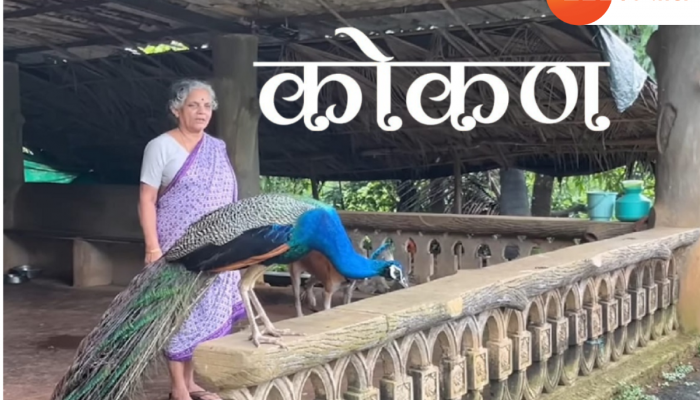 महाराष्ट्रातील 'या' गावात पहायला मिळते निसर्गापेक्षा सर्वात सुंदर दृष्य; कोकणातील आजीला भेटायला येणारा मोर 