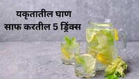 लिव्हर आणि किडनीमध्ये जमा झालेली घाण साफ करतील 5 ड्रिंक्स, रोज प्यायल्यावर शरीरावरची