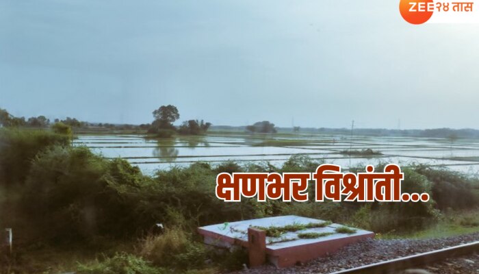 Maharashtra Weather : पहिल्या दोन दिवसात जोरदार बॅटींग करणाऱ्या पावसाची गती मंदावली; आता भेट थेट...