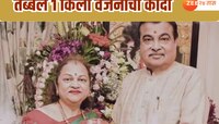 नितीन गडकरींच्या शेतात 1 किलोचा कांदा, काय आहे मल्चिंग पेपर टेक्निक? 