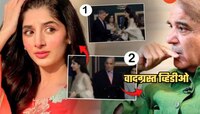 शरीफही शरीफ नाहीत! पाकिस्तानी PM चा 'तसला' Video व्हायरल; स्टेजवरच अभिनेत्रीला...