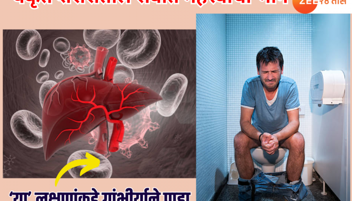 सकाळी उठताच टॉयलेटमध्ये 'ही' लक्षणे दिसली तर समजा लिवर सडतंय? अजिबात इग्नोर करु नका?