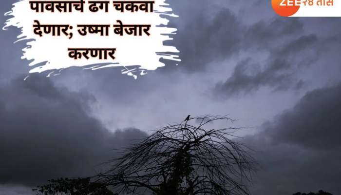 देशात चार दिशांना पावसाची चार विचित्र रुपं; महाराष्ट्राला मान्सूनचा चकवा, ईशान्य भारतात पूर अन् भूस्खलनाच्या घटना 