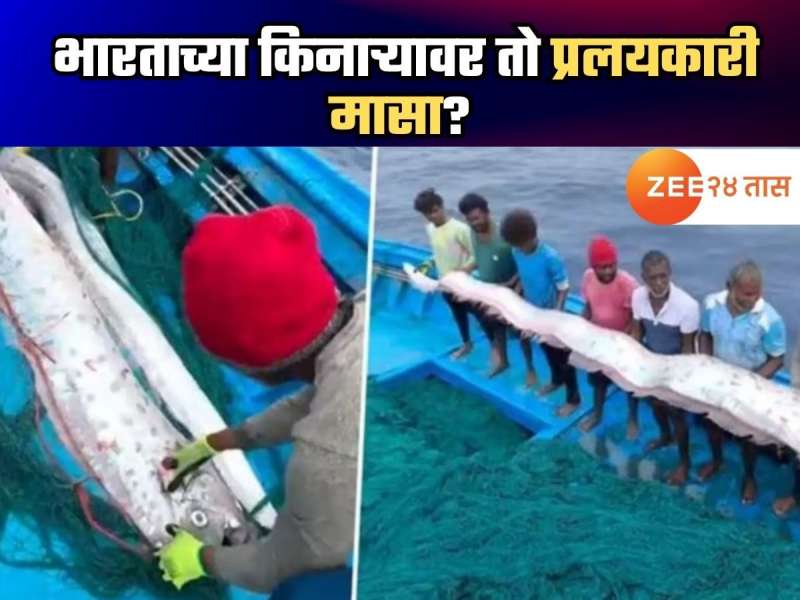 मोठ्या संकटाची चाहूल? भारतात सापडला 'तो' प्रलयकारी मासा; चिंतेत भर पडण्याचं नेमकं कारण काय?