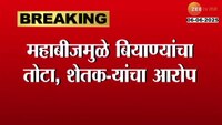 महाबीजमुळे बियाण्यांचा तोटा, शेकऱ्यांचा आरोप
