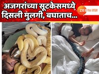 अजगरांच्या सूटकेसमध्ये सापडली मुलगी, बघाताच सर्वच झाले हैराण, Video व्हायरल