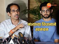 'उद्धव ठाकरेंचा मुलगा पावसाळ्यात जेलची वारी करू शकतो', मंत्र्याचं विधान; म्हणाले...
