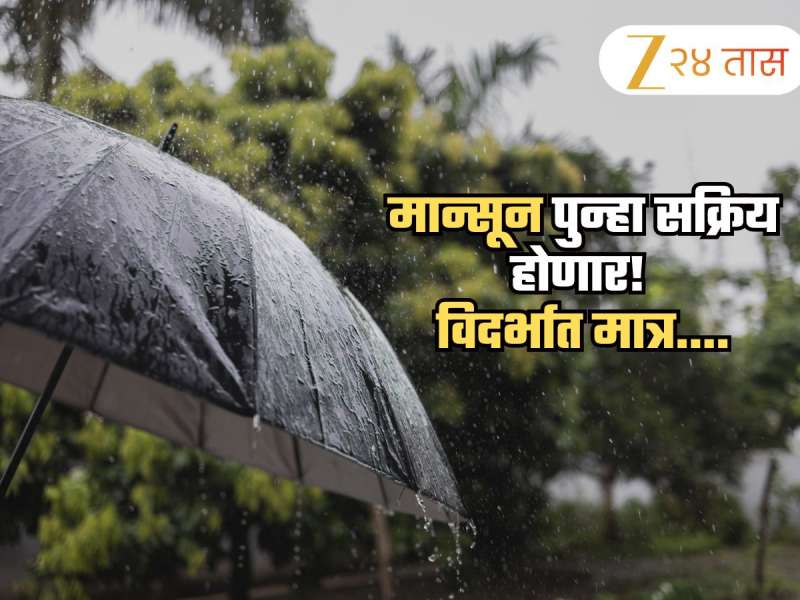 सुट्टीवर गेलेला पाऊस परतण्यास मुहूर्त सापडला; विदर्भाची उकाड्यापासून सुटका नाहीच