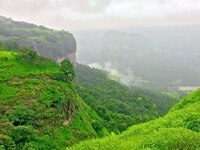 गर्द झाडी, दाट धुकं अन् अगणित धबधबे... महाराष्ट्रातील सर्वात थरारक जंगल ट्रेक, Photo