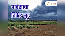 Monsoon : सरी पुन्हा बरसणार, 'या' जिल्ह्यांना ऑरेंज अलर्ट; 14 जूनपासून सक्रिय