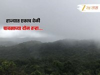 मान्सूनची सुट्टी संपली; कोकणासह पश्चिम महाराष्ट्रात 'ऑरेंज अलर्ट', विदर्भ मात्र...