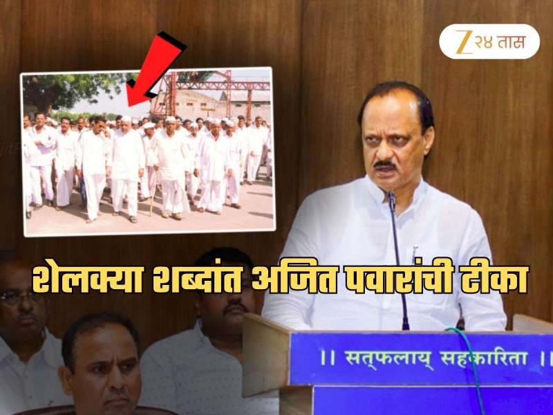 '85 व्या वर्षी कशाला निवडणूक लढायची? आता पायजमा...'; अजित पवारांचा BJP नेत्याला टोला