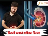 सावधान! 'या' 10 गोष्टी खाल्ल्या की किडनीमध्ये तयार होतात मूतखडे, वेळीच थांबवा नाहीतर