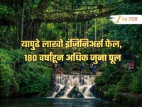 जगातील अनोखा पूल भारतात! इंजिनिअरींग नव्हे निसर्गाच्या मदतीने बनला; वर्षानुवर्षे होत