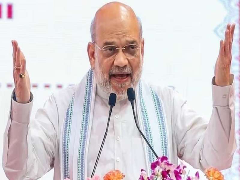 'इंग्लिश बोलणाऱ्यांना लाज वाटेल असा समाज तयार होईल', हिंदी सक्तीच्या वादादरम्यान अमित शाहांचं मोठं विधान
