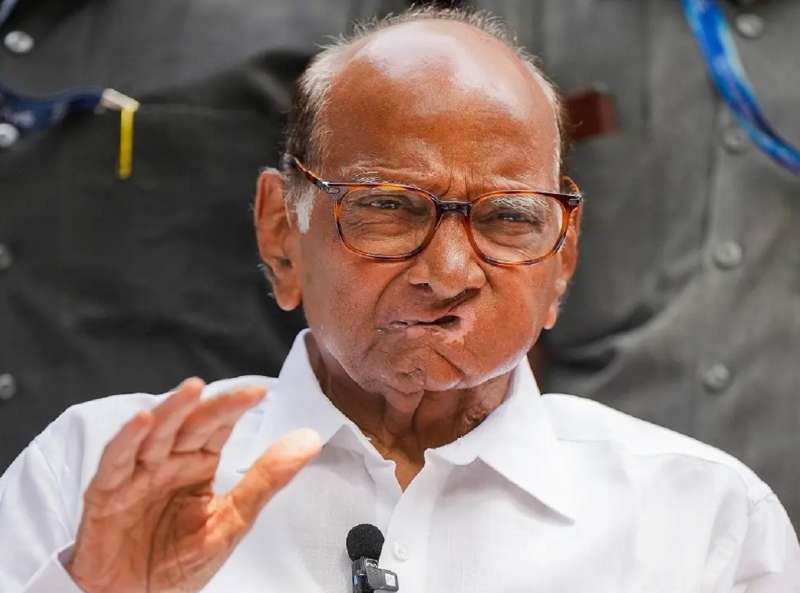 Sharad Pawar on Hindi:  'हिंदीचा द्वेष करणं हिताचं नाही'; शरद पवारांनी स्पष्ट केली भूमिका, 'पालकांनी मुलांना...'