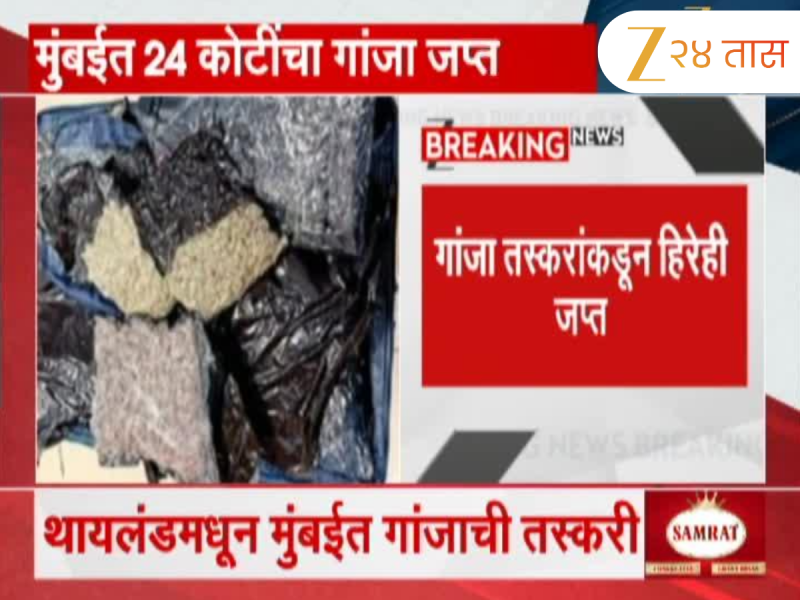 मुंबई विमानतळावर 24 कोटींचा गांजा जप्त; सीमाशुल्क विभागाकडून 3 गांजा तस्करांना अटक