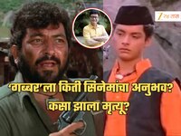 सचिन पिळगावकरांनी डायलॉग शिकवला त्या 'गब्बर'कडे किती सिनेमांचा अनुभव? कसा झाला मृत्य
