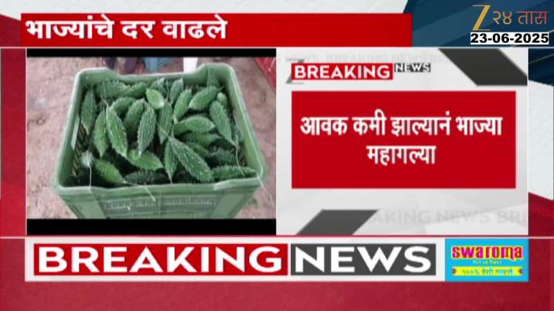 भाज्यांचे दर वाढले! महिन्याचं बजेट कोलमडणार