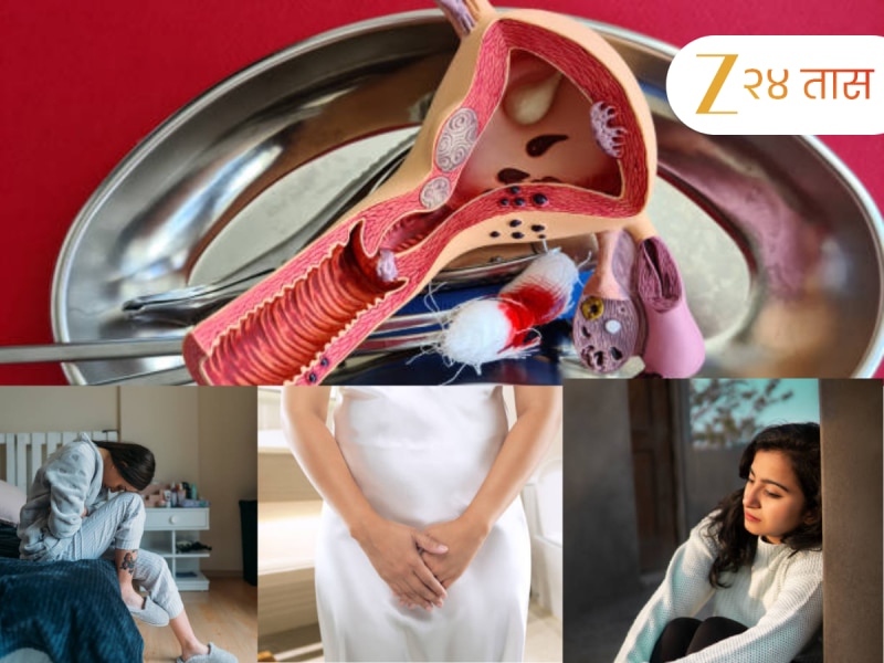 फॅलोपियन ट्यूबमध्ये अडथळा आल्यावर दिसतात'ही' लक्षणे,दुर्लक्ष केल्यास येऊ शकते वंध्यत