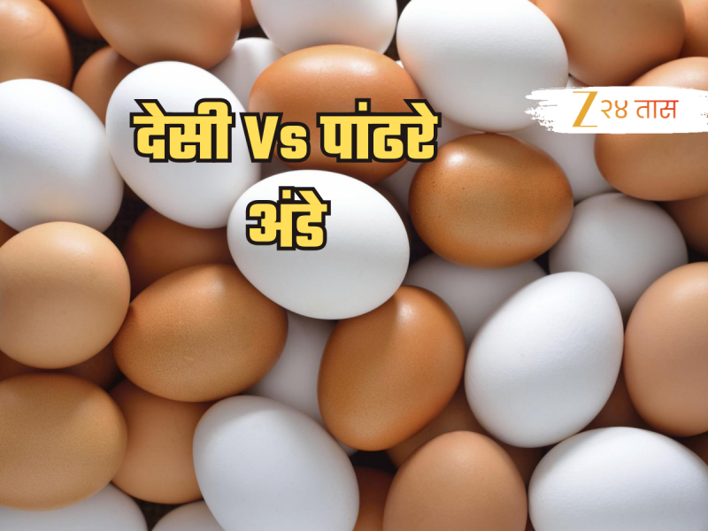 देसी की पांढरे अंडे, कोणते आरोग्यदायी आहे? काय सांगतात पोषणतज्ज्ञ?