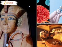राजाच्या शापाने कॅन्सर बरा होणार का? शास्त्रज्ञांच्या संशोधनातून धक्कादायक सत्य समोर