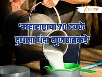 महाराष्ट्राचा 70 टक्के दुधाचा धंदा गुजरातकडे, दूध कंपन्यांना काय ठरतात मारक?