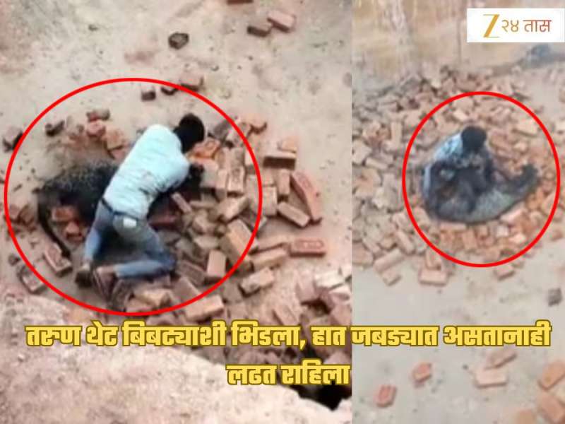 बिबट्याने जबड्यात हात पकडलेला असतानाही मजूर लढत राहिला; लोक दगडं मारत राहिले अन् अखेरीस...; अंगावर काटा आणणारा VIDEO