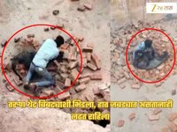 बिबट्याने जबड्यात हात पकडलेला असतानाही मजूर लढत राहिला; लोक दगडं मारत राहिले अन् अखे