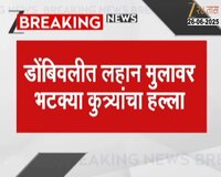 डोंबिवलीत लहान मुलावर भटक्या कुत्र्यांचा हल्ला