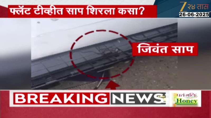 Special Report TV Snake Marathi News 